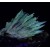 Aragonite (fluorescent) Eugui M04446